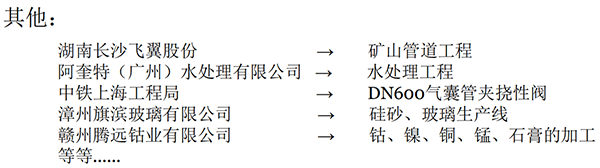 立式襯膠止回閥業(yè)績